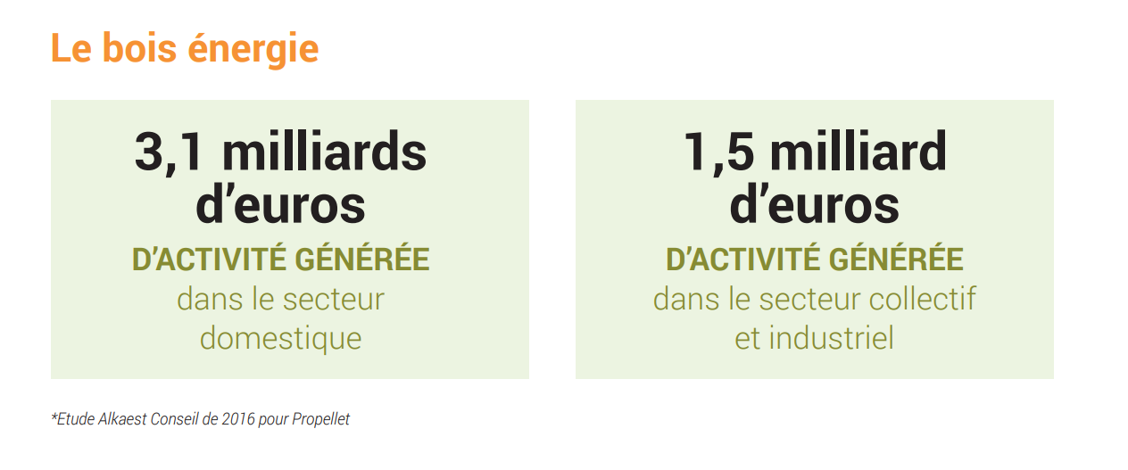 Activité générée par le granulé de bois en France